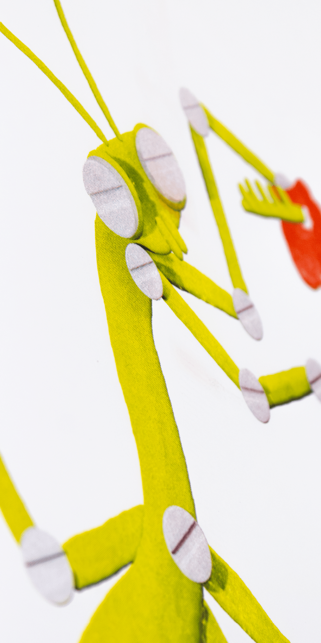 Vertical1_Moka_Mantis