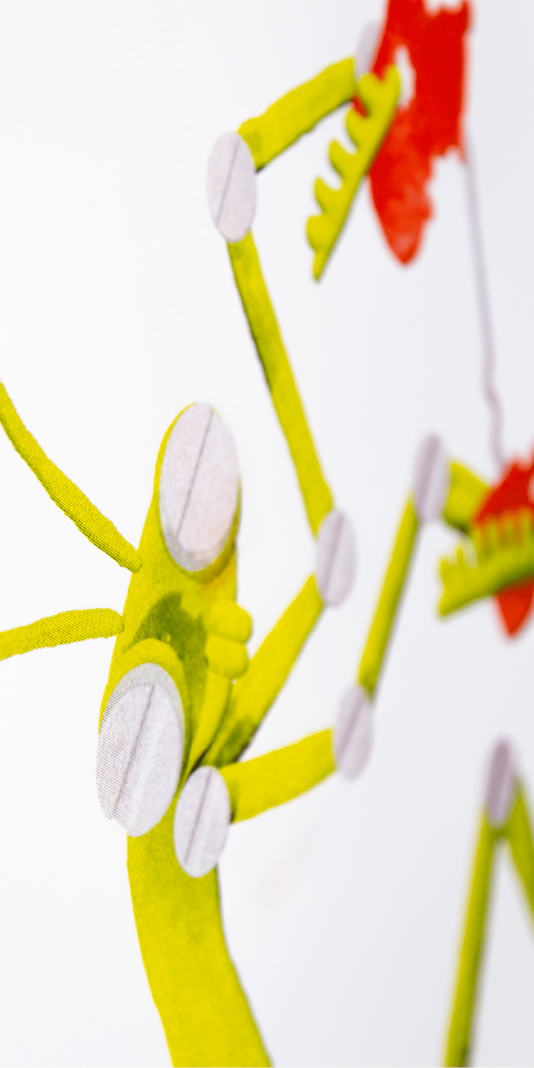 Vertical2_Moka_Mantis