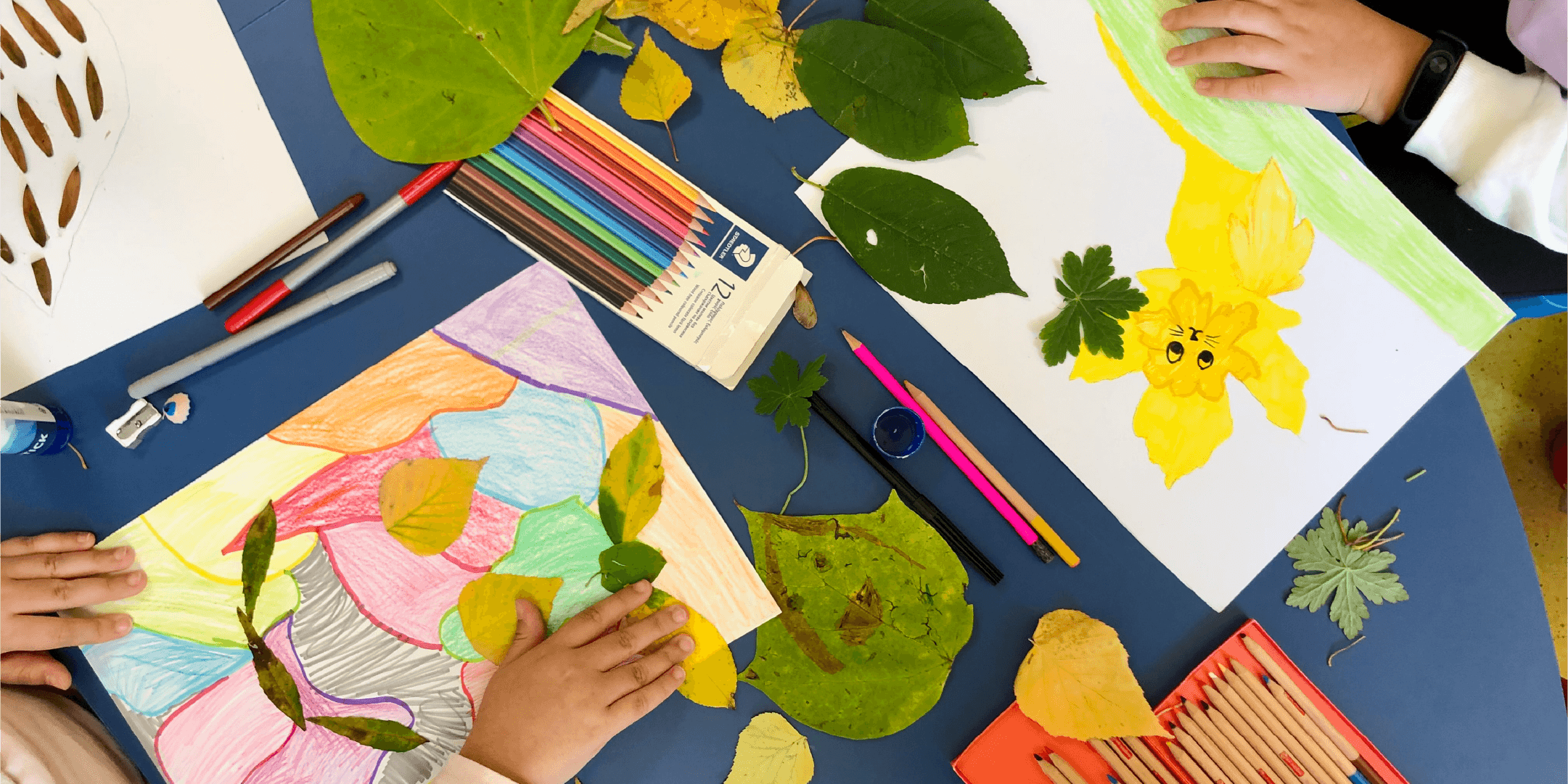 WideKids_Lab
